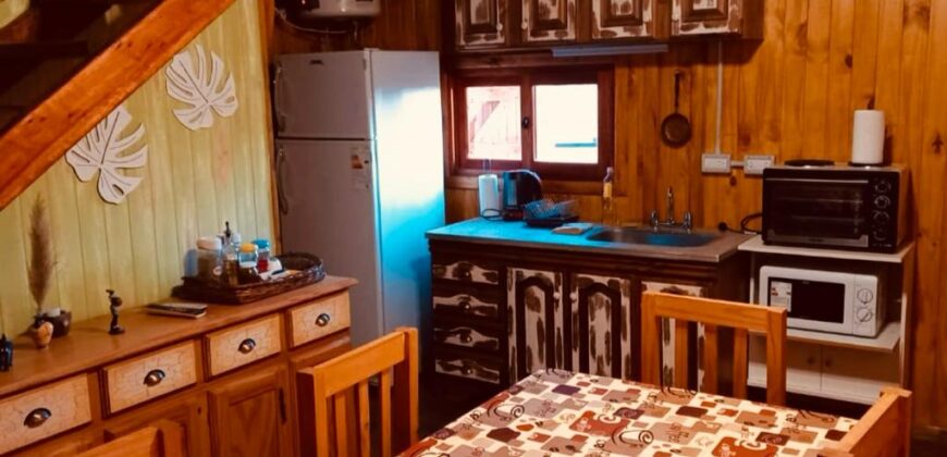 ALQUILER TEMPORARIO EN VILLA LIA