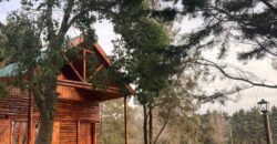 ALQUILER TEMPORARIO EN VILLA LIA