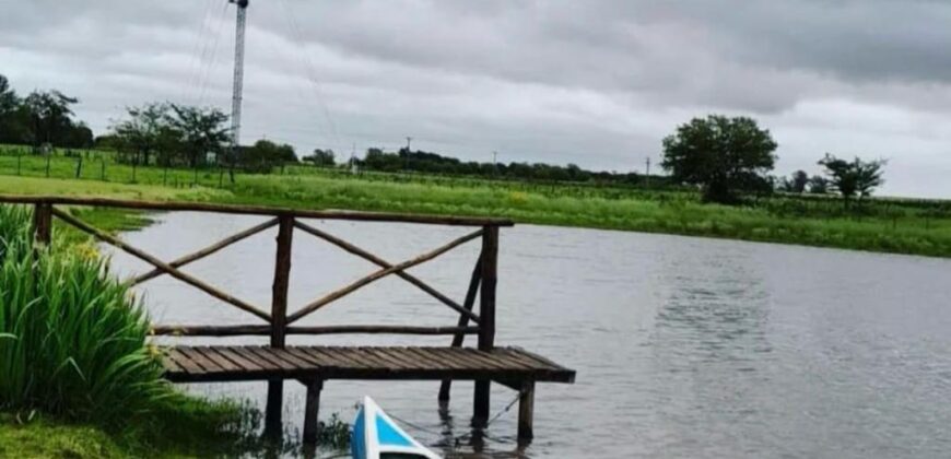 ALQUILER TEMPORARIO EN VILLA LIA