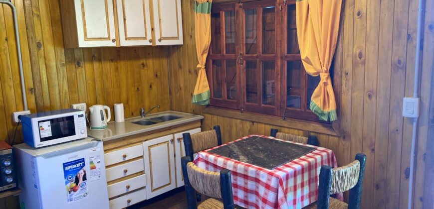 ALQUILER TEMPORARIO EN VILLA LIA