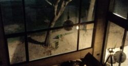 VENTA LOFT EN MAR AZUL
