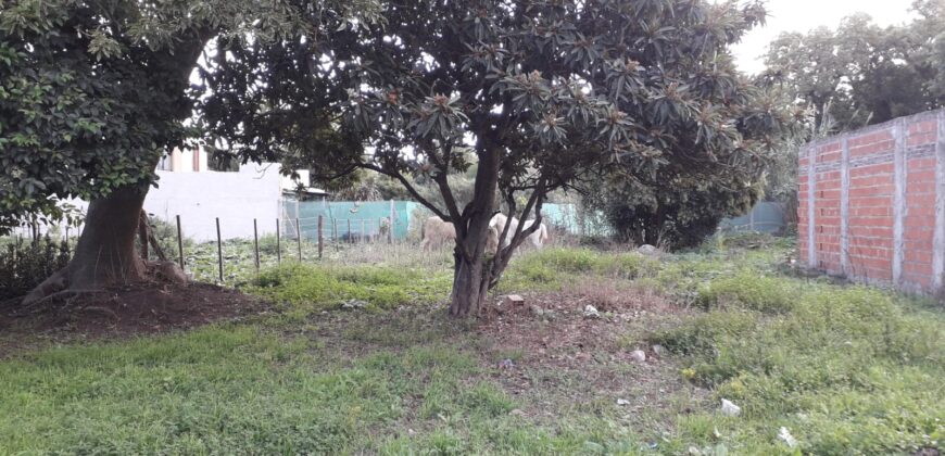 LOTE EN VENTA EN VILLA LIA