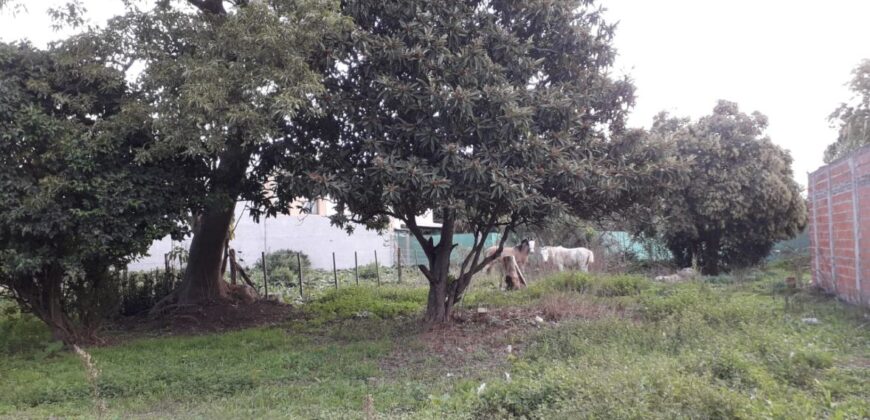 LOTE EN VENTA EN VILLA LIA