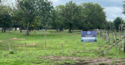VENTA LOTE EN VILLA LIA