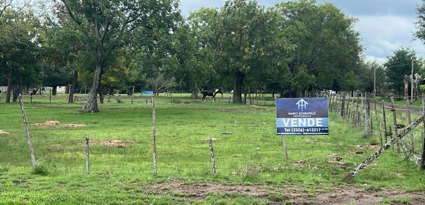 VENTA LOTE EN VILLA LIA