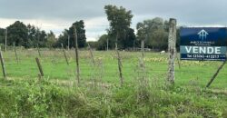 VENTA LOTE EN VILLA LIA