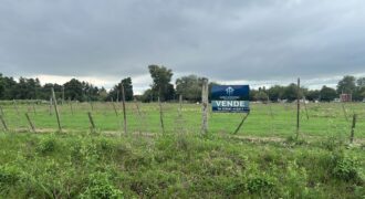 VENTA LOTE EN VILLA LIA