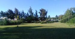 ALQUILER TEMPORARIO CASA QUINTA EN VILLA LIA