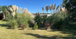 ALQUILER TEMPORARIO CASA QUINTA EN VILLA LIA