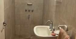VENTA  DE 2 CASAS EN SAN ANTONIO DE ARECO